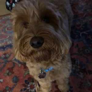 Meet your Posher, Jan